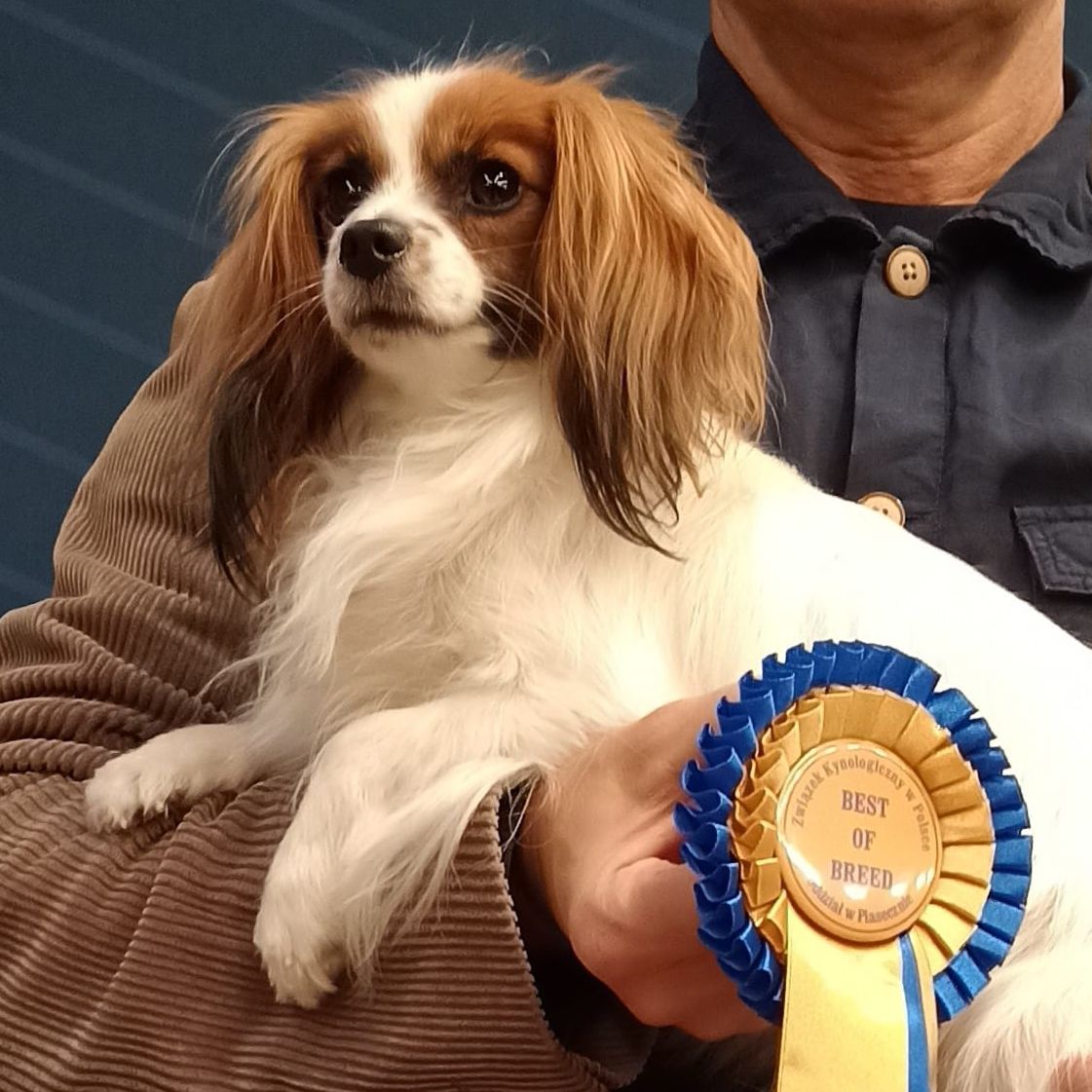 Diosa-Abrazo-Alado-Phalene-wystawa-Pruszkow-2024-10-26-BOB