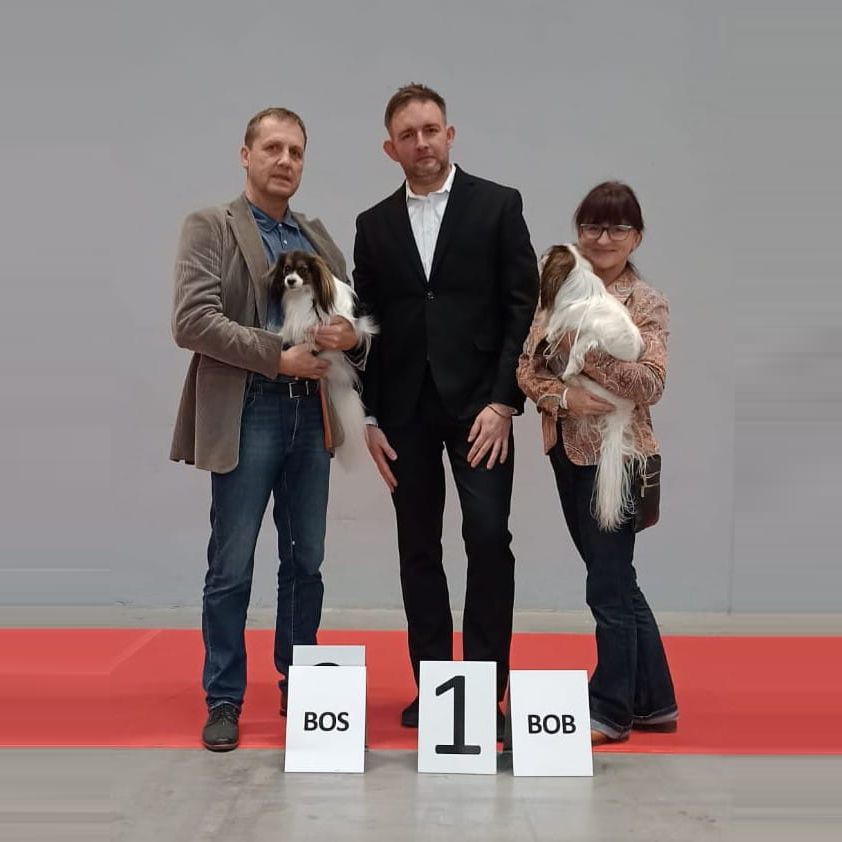 Phalene-IDS-Kielce-2024-12-01-Abrazo-Alado-DHRAMINA-BOB-TARIK-Lovely-Tina-BOS