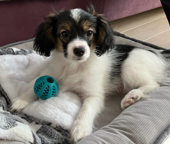 Gonzalo: fot. Pani Ania, Białystok